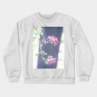 red Malus Radiant crab apple blossoms #6 Crewneck Sweatshirt